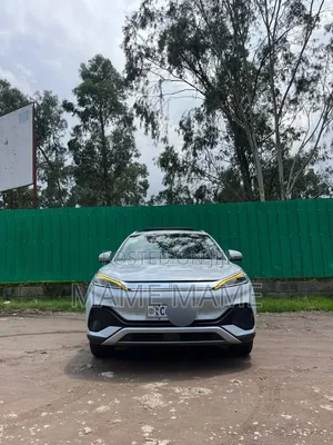New BYD Yuan Plus 2024 Gray