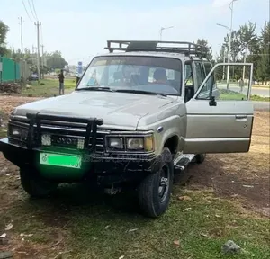 Toyota Land Cruiser 1990 Brown