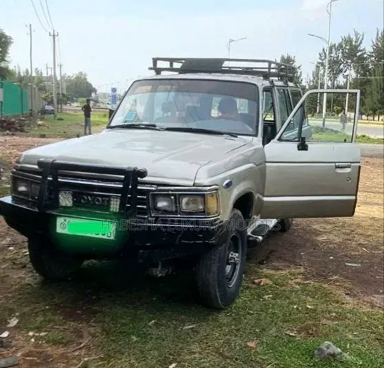 Toyota Land Cruiser 1990 Brown