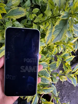 Samsung Galaxy A15 128 GB