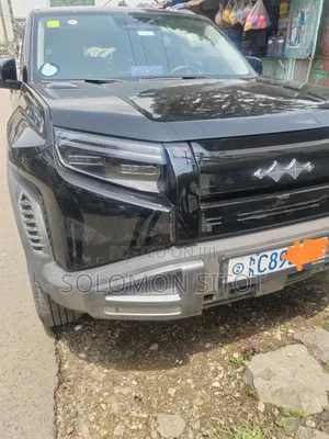 BYD Leopard 3 Max 2025 Gray