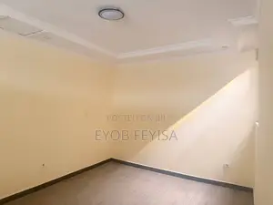 Furnished 1bdrm Apartment in Akaky Kaliti for rent