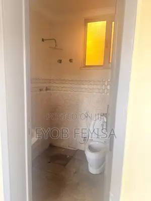 Furnished 1bdrm Apartment in Akaky Kaliti for rent