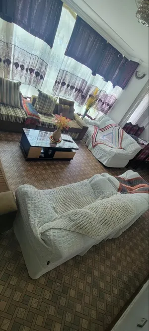Sofa Furniture