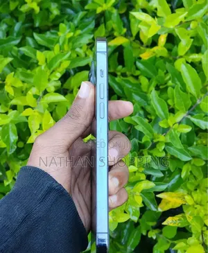 Apple iPhone 13 Pro Max 128 GB Blue