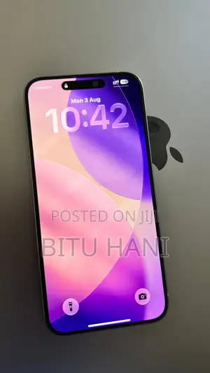 Apple iPhone 15 Pro Max 256 GB Gray