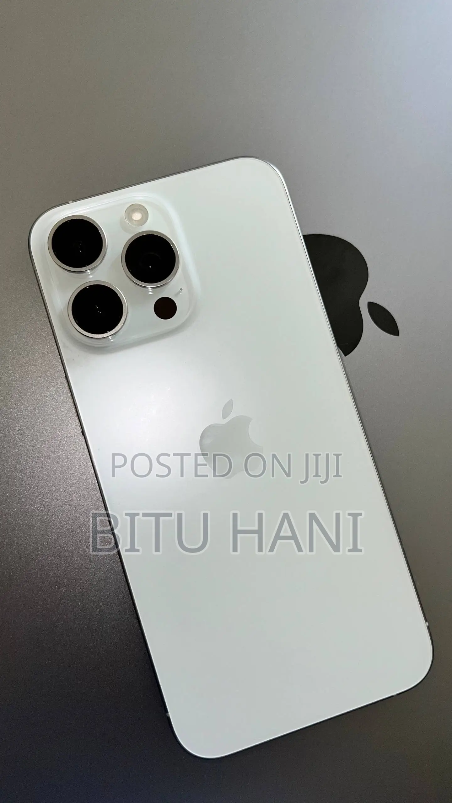 Apple iPhone 15 Pro Max 256 GB Gray