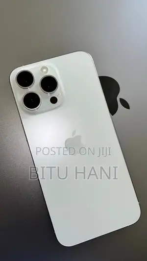 Apple iPhone 15 Pro Max 256 GB Gray
