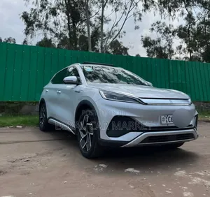 BYD Yuan Plus 2024 Gray