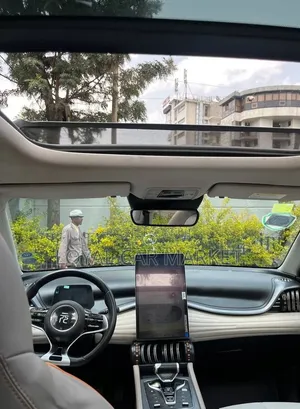 BYD Yuan Plus 2024 Gray