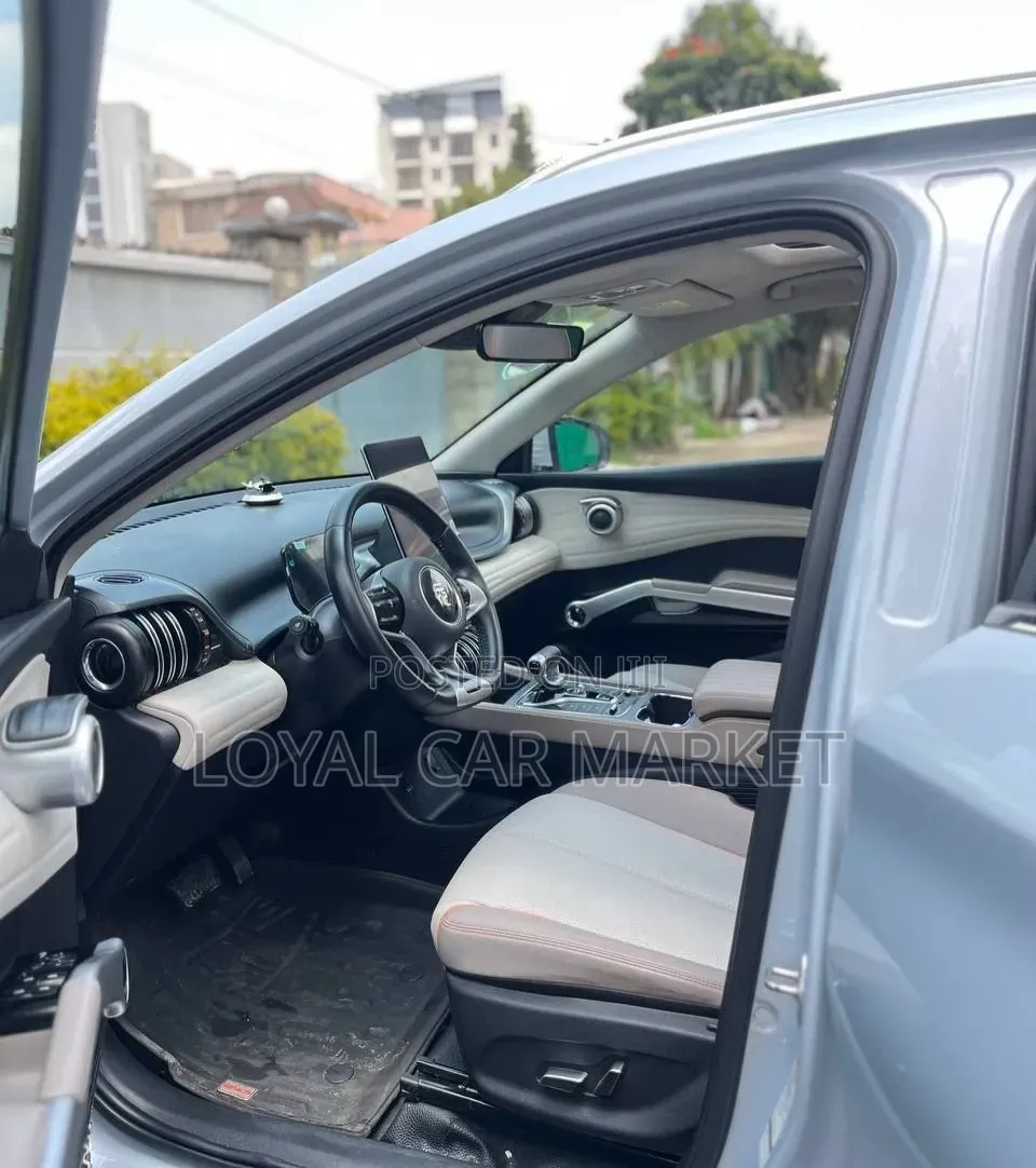 BYD Yuan Plus 2024 Gray