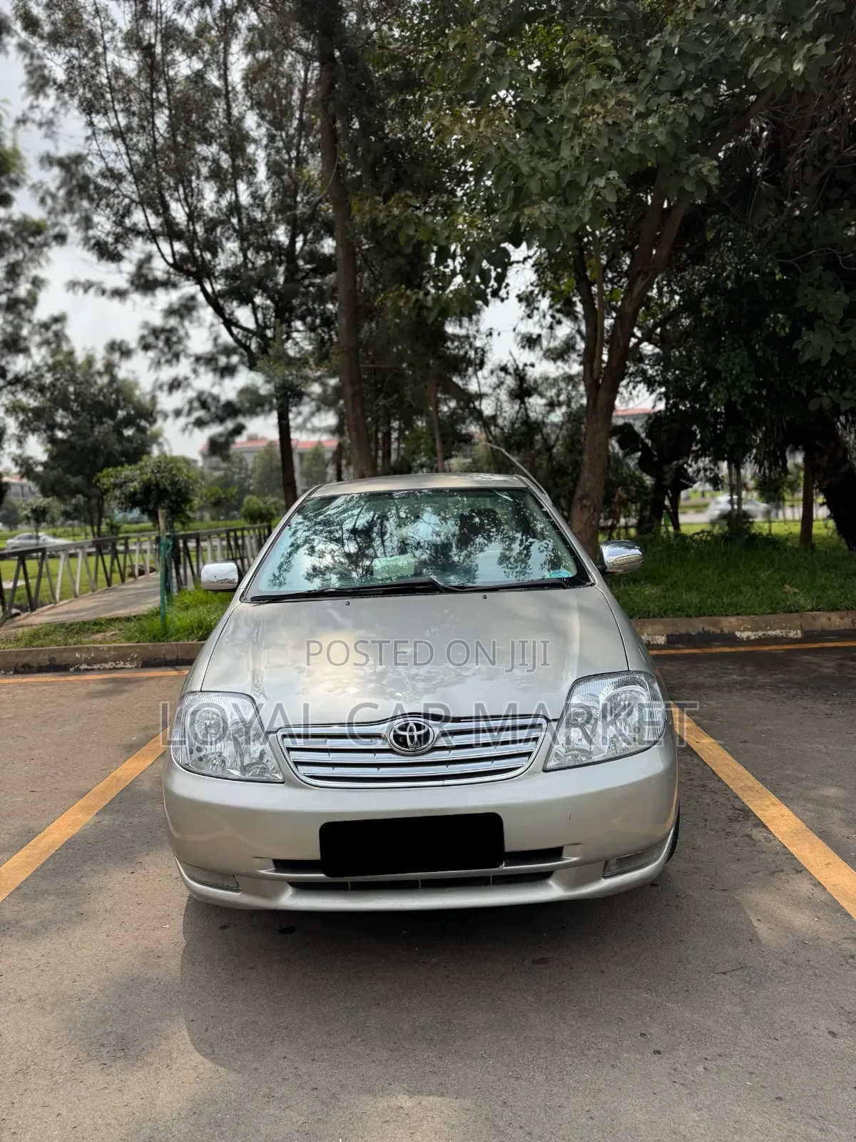 Toyota Corolla 2003 Gold