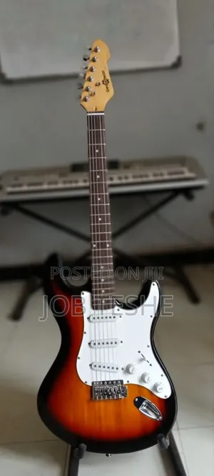 Guitar With Amplifier