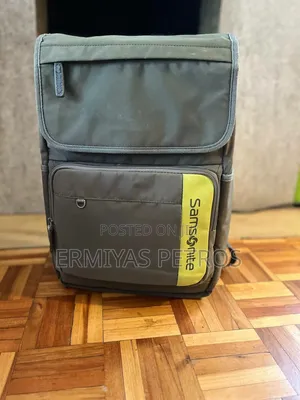 Samsonite Gray Backpack