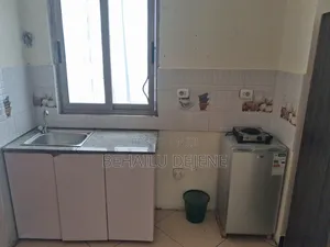 Furnished Studio Apartment in Lucysebrin, Bole for rent
