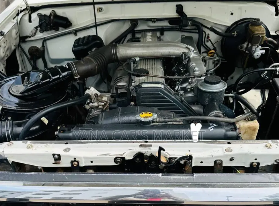 Toyota Land Cruiser 2009 White