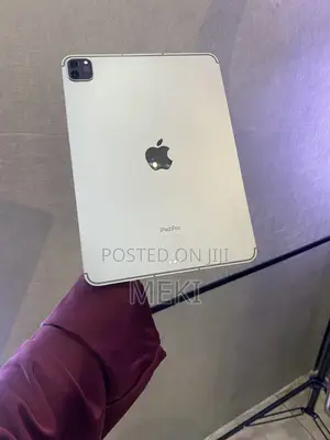 Apple iPad Pro 256 GB Gray
