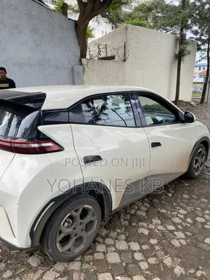 New BYD Seagull 2025 White