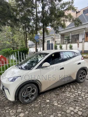 New BYD Seagull 2025 White