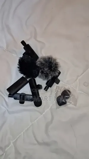Wireless Microphone