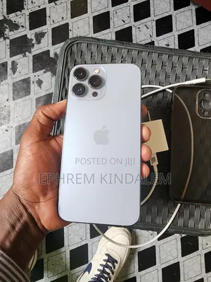 Apple iPhone 13 Pro Max 256 GB Gray