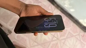 Apple iPhone 16 Pro Max 256 GB