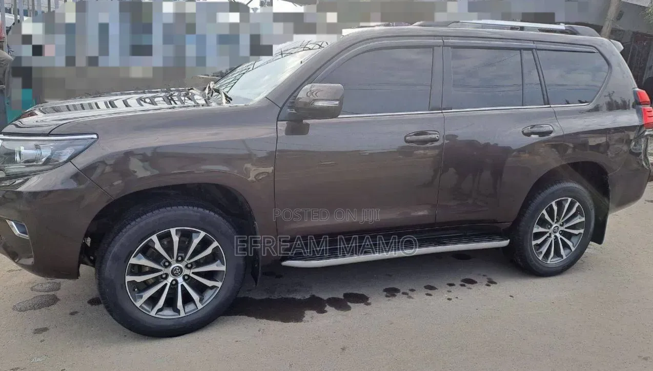 Toyota Land Cruiser 2019 Brown