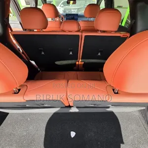 New BYD Tang EV 2025 Black
