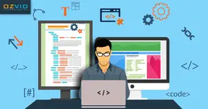Website Developer