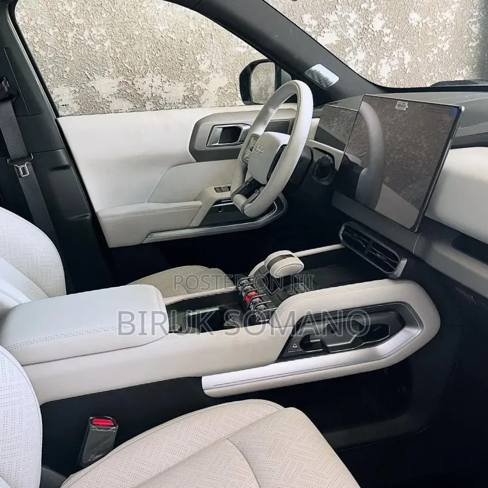 New BYD Leopard 3 2025