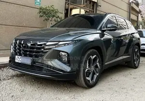 Hyundai Tucson 2023 Gray