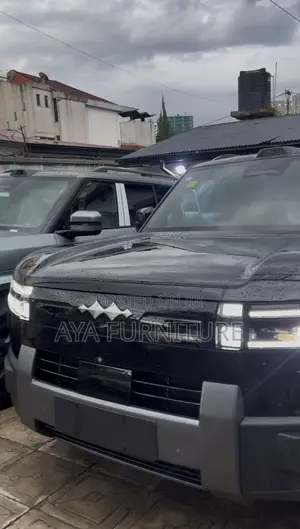 New BYD Leopard 7 2025 Black
