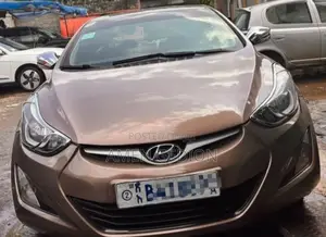 Hyundai Elantra 2015 Brown