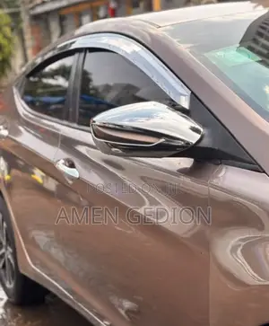 Hyundai Elantra 2015 Brown