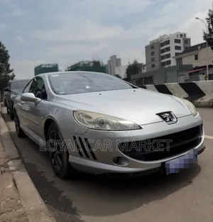Peugeot 407 2007 Silver
