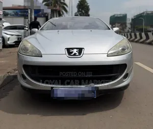 Peugeot 407 2007 Silver