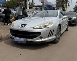 Peugeot 407 2007 Silver