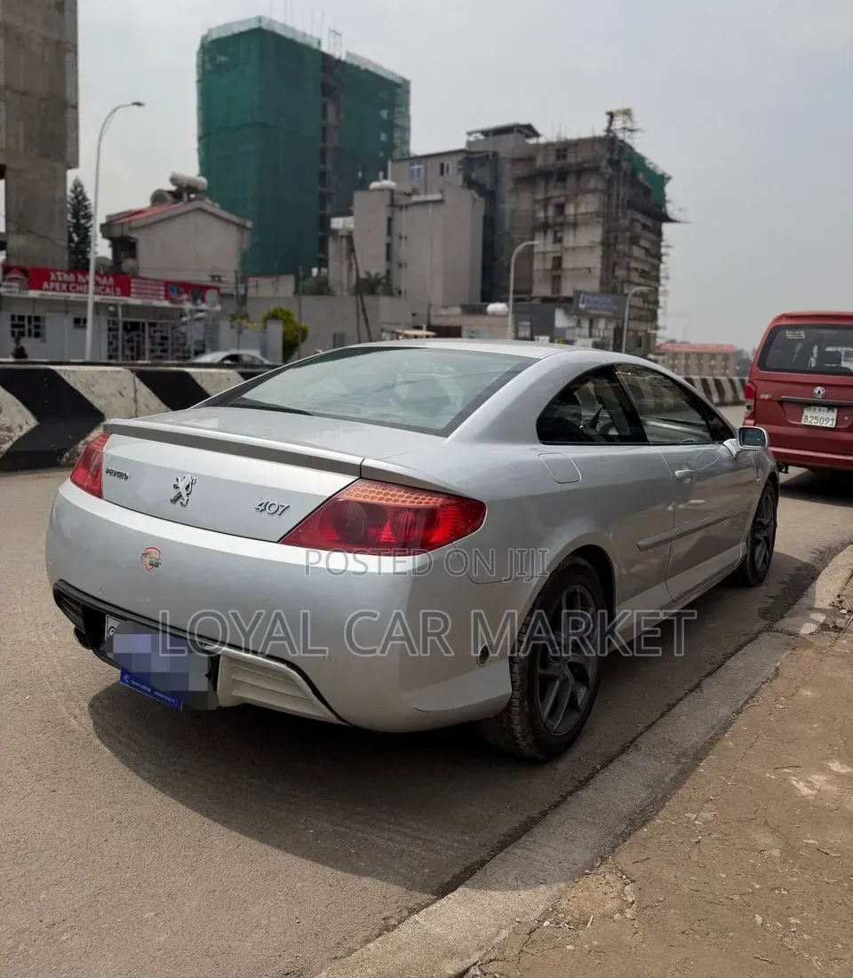 Peugeot 407 2007 Silver