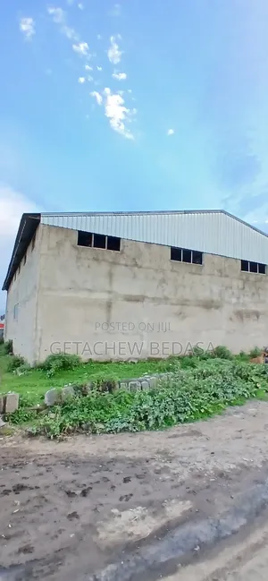 Warehouse for Sale (የሚሸጥ መጋዘን)