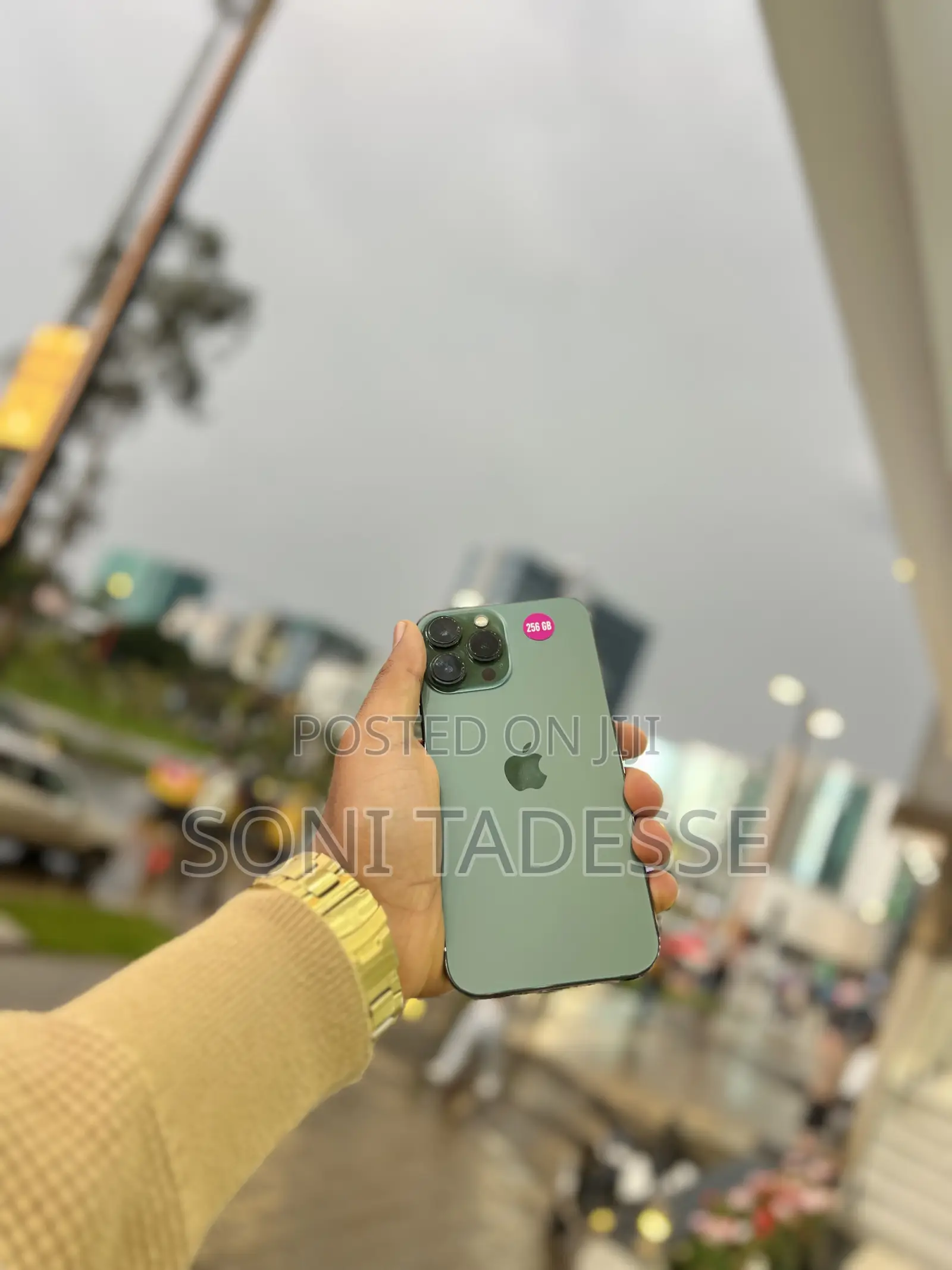 New Apple iPhone 13 Pro Max 256 GB Green
