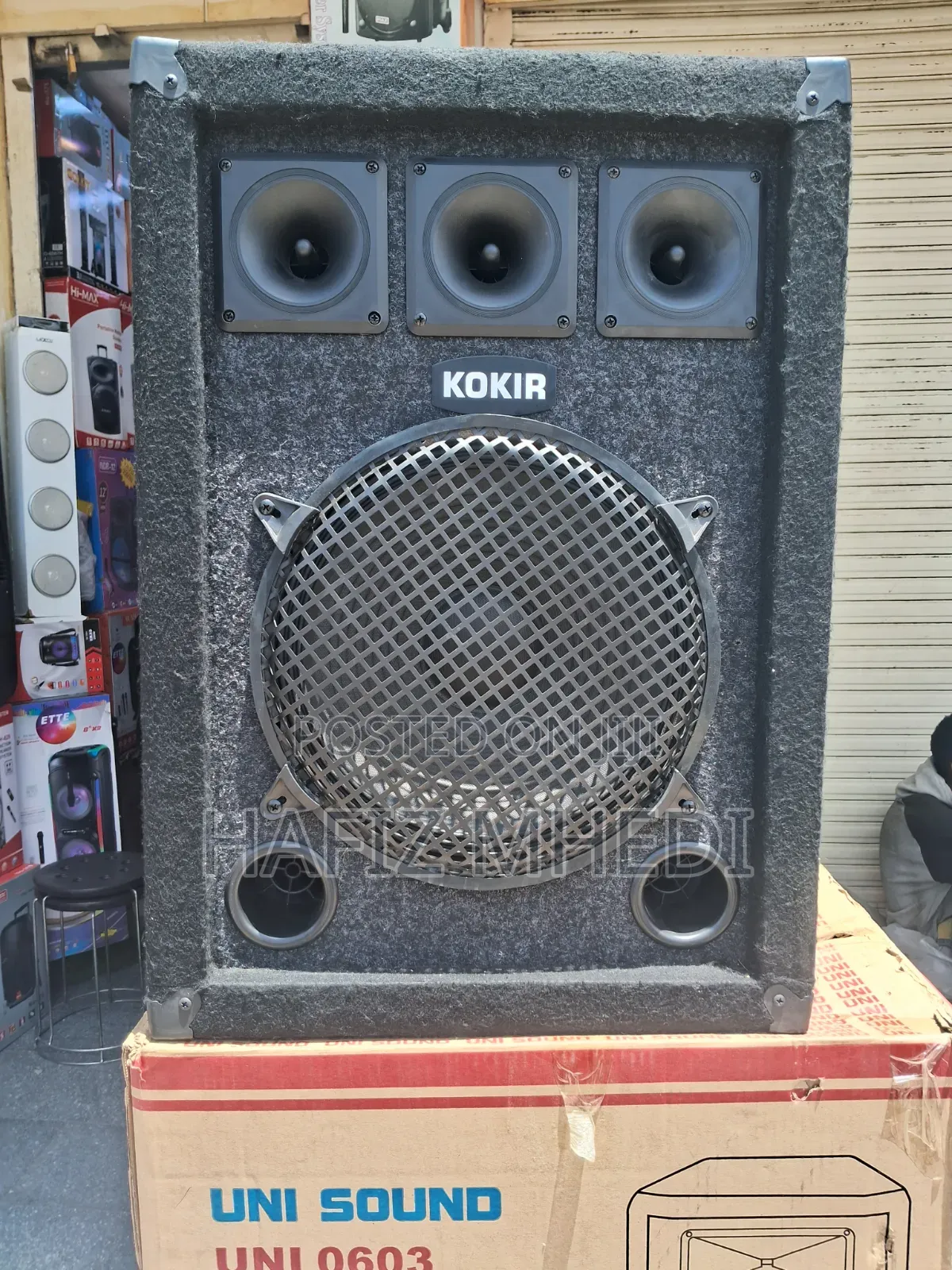 Max 1239 Professional Wireless Speaker