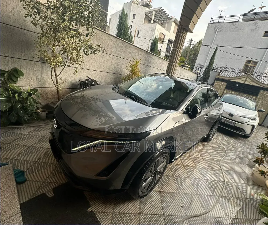 Nissan Ariya 2024 Gray