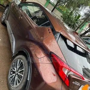 Toyota C-HR 2017 Brown