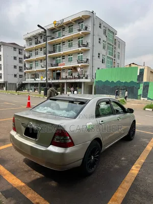 Toyota Corolla 2003 Gray