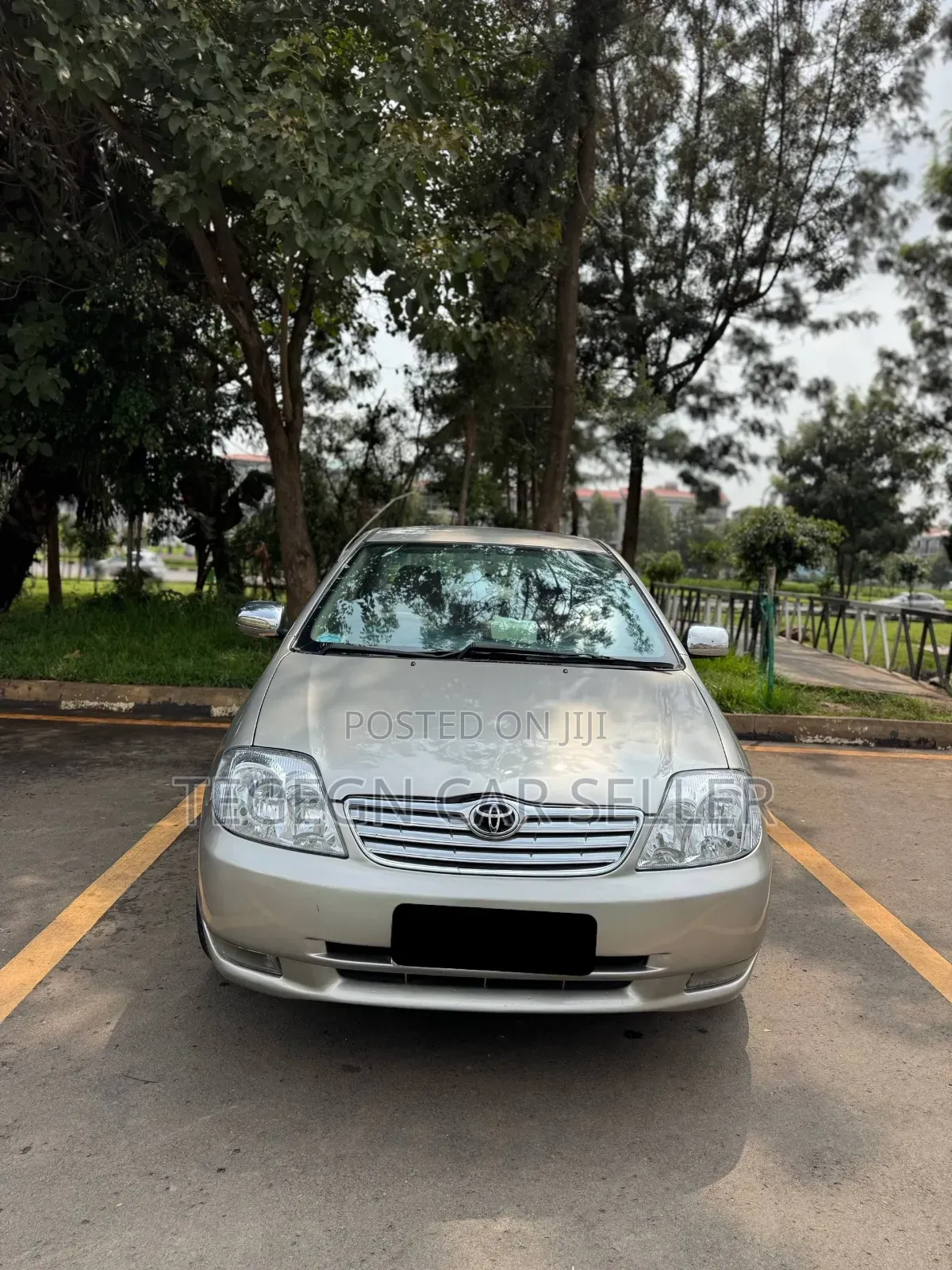 Toyota Corolla 2003 Gray