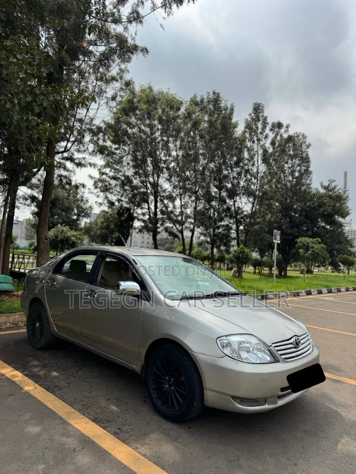 Toyota Corolla 2003 Gray