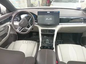 BYD Song Plus 2025 Gray