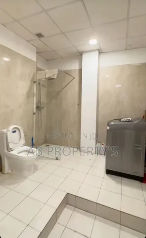 Furnished 2bdrm Penthouse in Bole Ednamol for sale