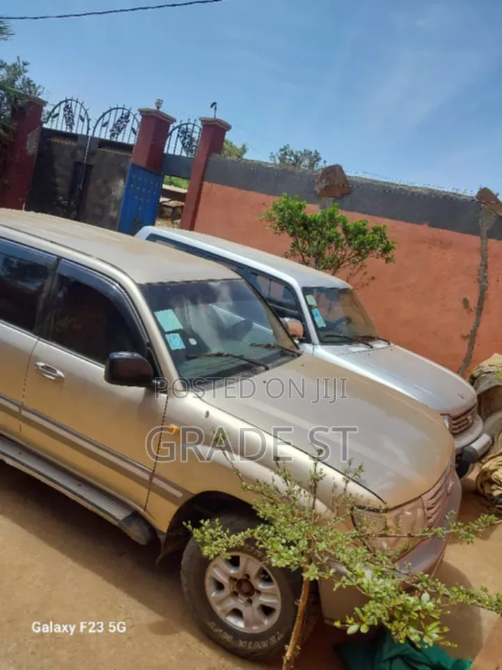 Toyota Land Cruiser 2004 Gold