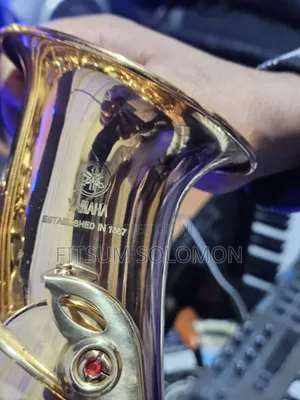 Yamaha Professional Alto Saxophone